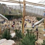 Speelbeek, nieuwe speeltuin in Burgers’ Zoo [verslag]